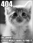 The 404 Kitten